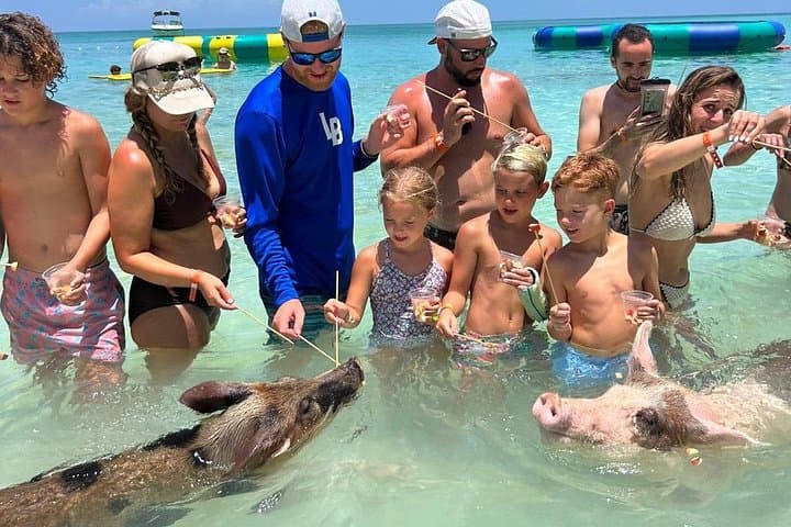 Rose Island Private Beach & Swimming Pigs Powerboat Tour (Nassau) photo 2