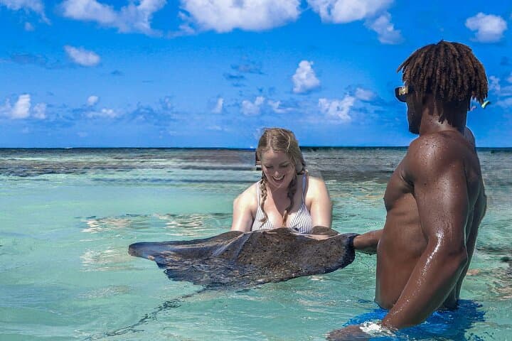 Stingray City Antigua: 3-Hour Morning Swim with Southern Rays (Transfers Included) photo 4