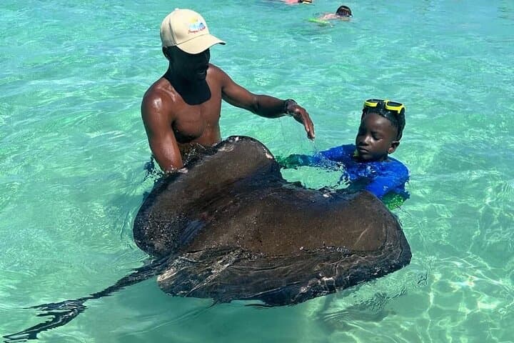 Stingray City Antigua: 3-Hour Morning Swim with Southern Rays (Transfers Included) photo 5