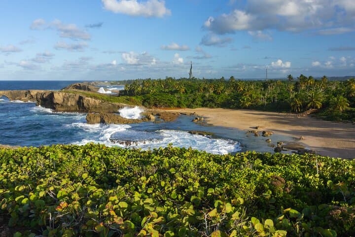 Cueva del Indio: Arecibo Coastal Hike, Sea Cliffs & Taíno Petroglyphs