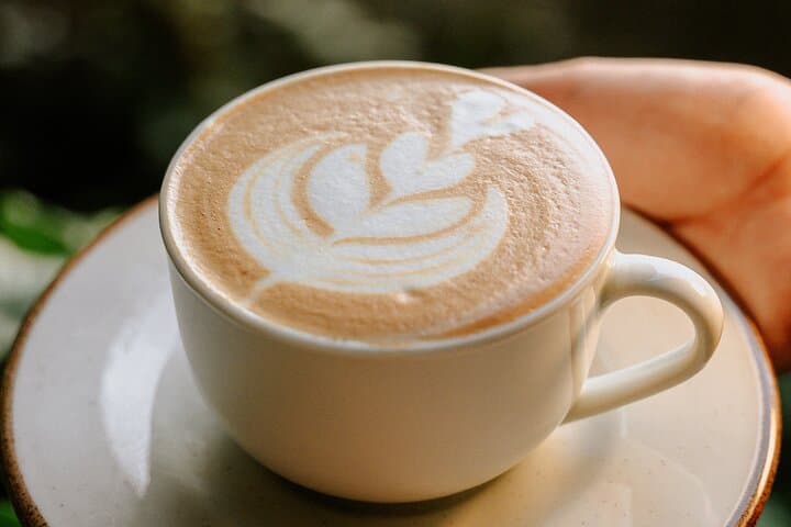 Coffee Methods Workshop near Manuel Antonio — Hands-On Costa Rica Coffee & Cacao Tour photo 2