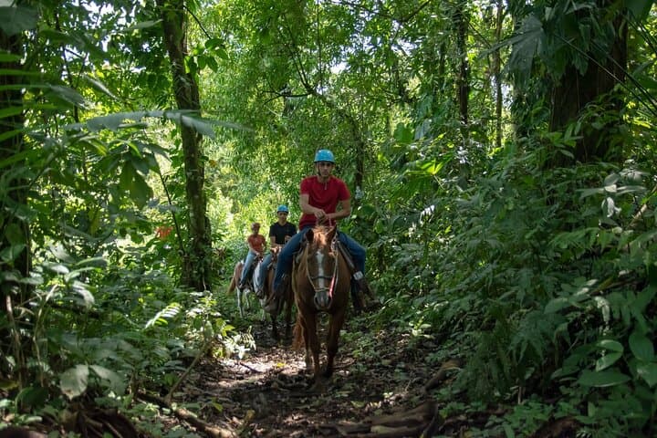 Horseback Ride to the Arenal River and Hot Springs near La Fortuna