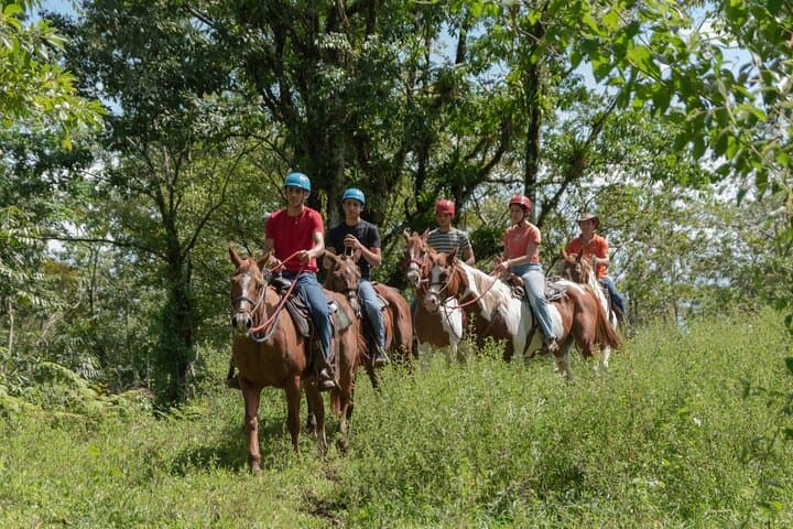 Horseback Ride to the Arenal River and Hot Springs near La Fortuna photo 2