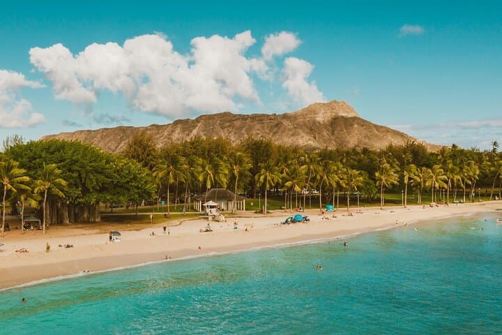 Private Half-Day Oahu North Shore Anti-Tour — Haleiwa, Dole & Pali Views