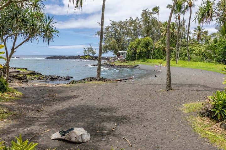 Hilo Volcanoes, Waterfalls, and Black Sand: A Private Big Island Shore Excursion photo 2