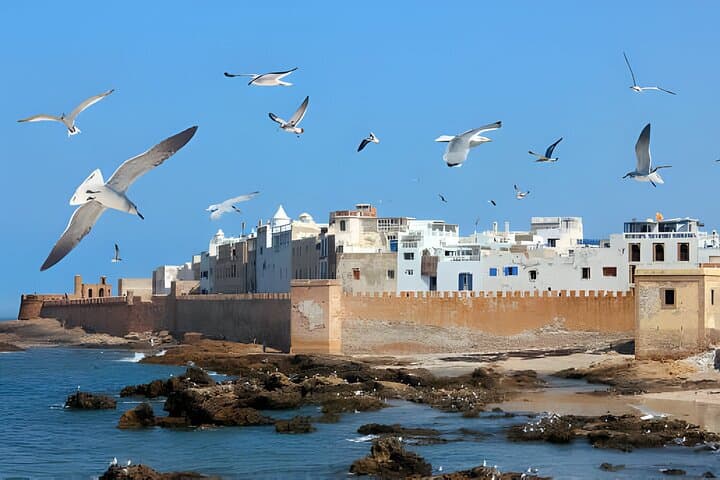 Essaouira Day Trip from Marrakech: Coastal Medina, Argan Groves & Fresh Seafood photo 1