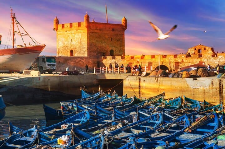 Essaouira Day Trip from Marrakech: Coastal Medina, Argan Groves & Fresh Seafood photo 2
