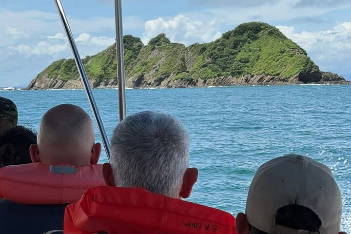 Whale and Dolphin Watching at Marino Ballena: Boat Tours from Uvita photo 2