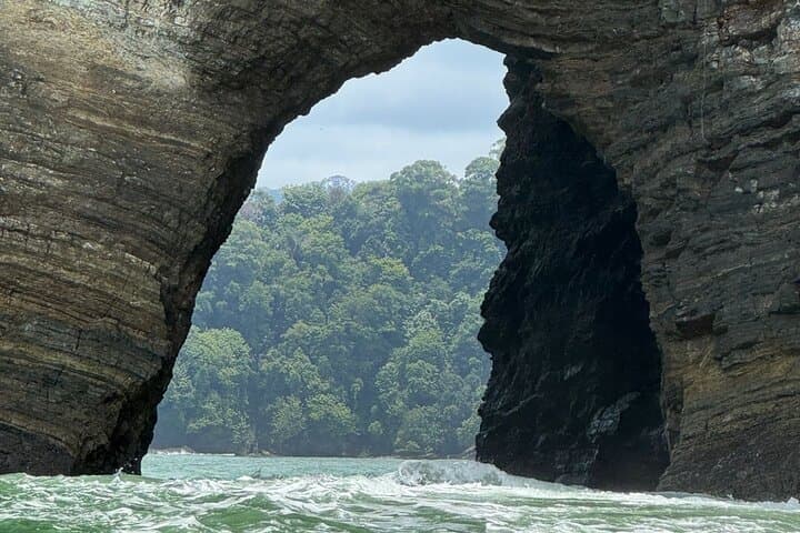 Whale and Dolphin Watching at Marino Ballena: Boat Tours from Uvita photo 3
