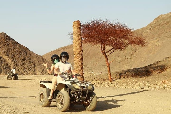 Marsa Alam Desert Safari: Jeep, Quad, Camel Rides & Bedouin Dinner Under the Stars photo 3