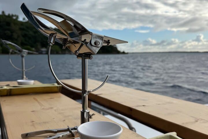 Bora Bora Shark, Ray & Black Pearl Snorkel — Lagoon Snorkeling with Mantas and Pearl Oysters photo 4