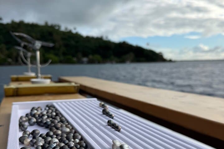 Bora Bora Shark, Ray & Black Pearl Snorkel — Lagoon Snorkeling with Mantas and Pearl Oysters photo 5