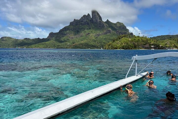 Bora Bora Shark, Ray & Black Pearl Snorkel — Lagoon Snorkeling with Mantas and Pearl Oysters photo 6