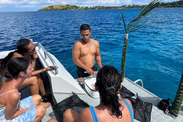 Bora Bora Black Pearl Snorkel: Mantas, Rays & Private Motu Lunch photo 4