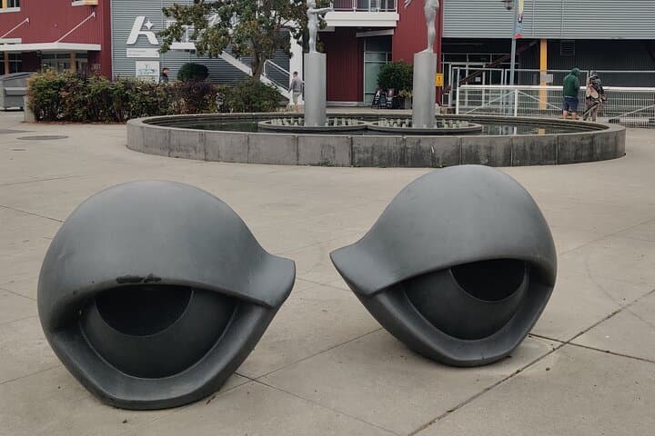 Essential Seattle Walking Tour: 2-Hour Art & History Walk from KEXP photo 4