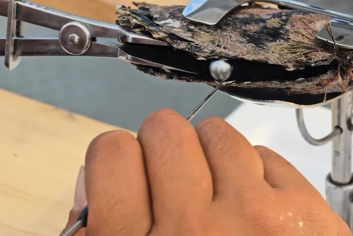 Bora Bora Black Pearl Snorkel: Mantas, Rays & Private Motu Lunch