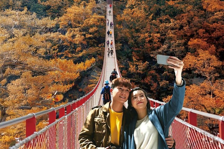 DMZ Tour from Seoul — Explore the 3rd Tunnel, Dora Observatory & Gamaksan Hike