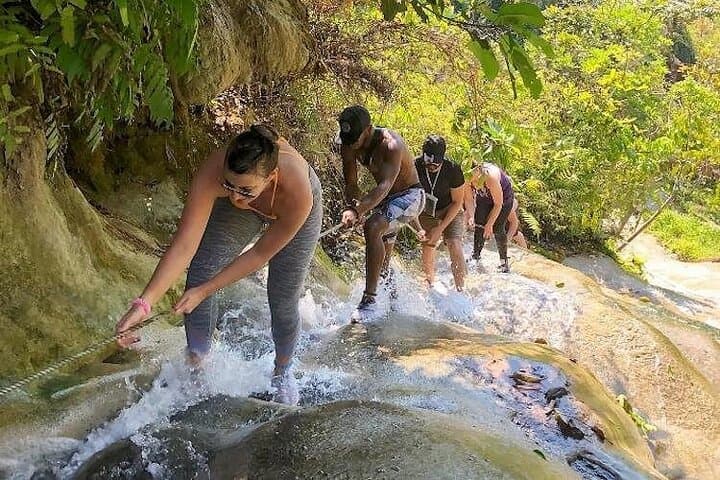 Chapulin Elephant Care & Bua Tong Sticky Waterfall — Ethical Encounters Near Chiang Mai photo 2