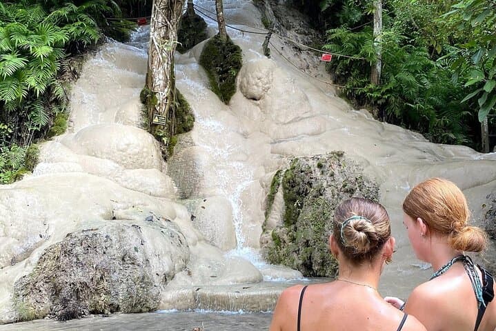 Chapulin Elephant Care & Bua Tong Sticky Waterfall — Ethical Encounters Near Chiang Mai photo 3