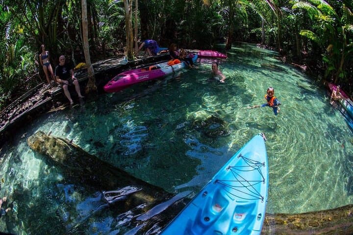 Klong Root Jurassic World Kayaking & Swimming — Krabi Emerald Lagoon Day Tour photo 5