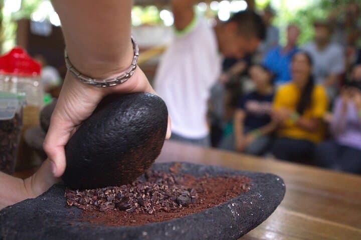 Chocolate & Cultural Tour in Sarapiquí: Cacao Farm Experience in Chilamate photo 3