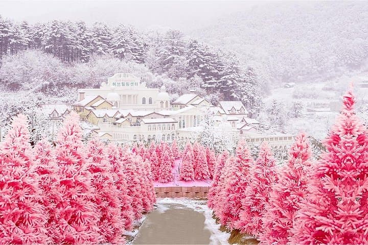 Seoul to Pocheon Winter Day Tour — Ice-Walled Cafés, Sanjeong Lake Sledding & Herb Island