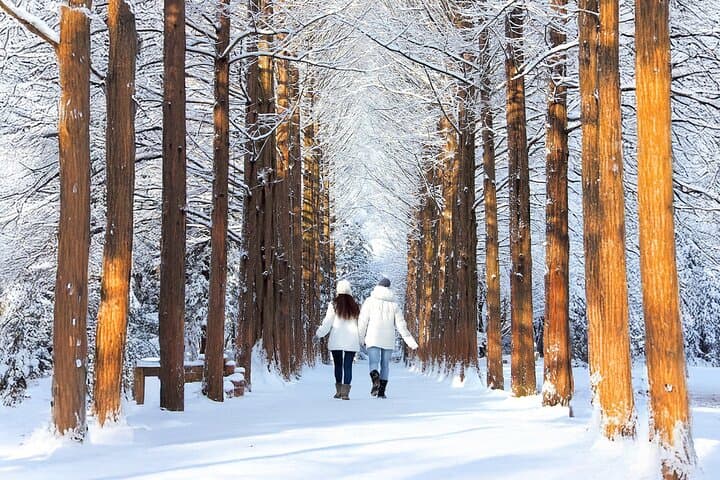 Winter Wonders: Half-Day Eobi Ice Valley & Nami Island Tour from Seoul