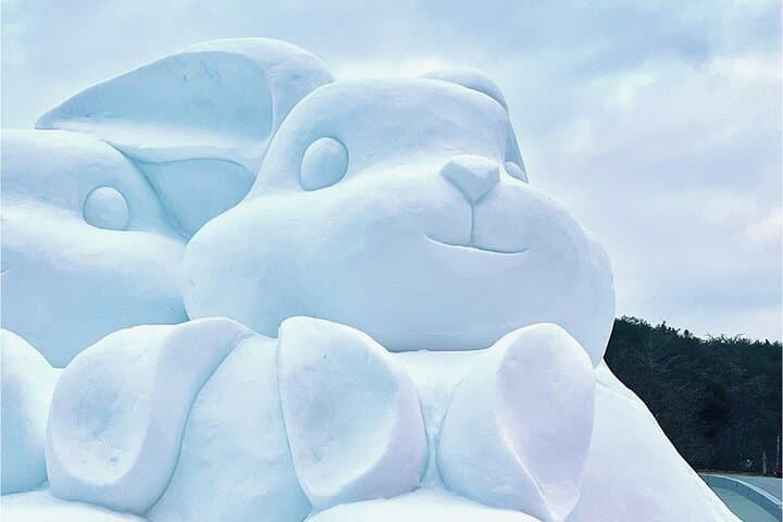 Cheongyang Alps Village Winter Festival & Nonsan Strawberry Picking Day Trip photo 5