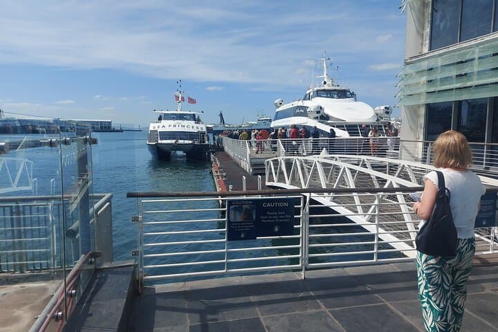 Robben Island Half-Day Tour from Cape Town: Mandela's Prison, Ferry & Museum photo 2