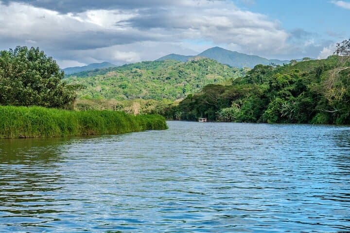 Puntarenas Shore Excursion — Crocodile Safari and Rainforest Zipline Adventure photo 6