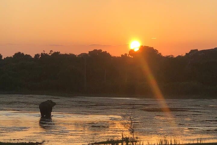 Yala Half-Day Safari: Block 1 & 5 Jeep Wildlife Experience photo 2