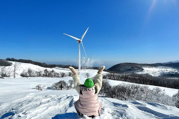 Balwangsan Cable Car & Samyang Ranch: Skywalk, Summit Views and Korea’s Largest Ranch in a Day