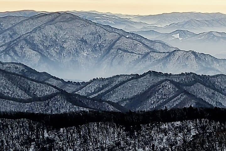 Balwangsan Cable Car & Samyang Ranch: Skywalk, Summit Views and Korea’s Largest Ranch in a Day photo 4
