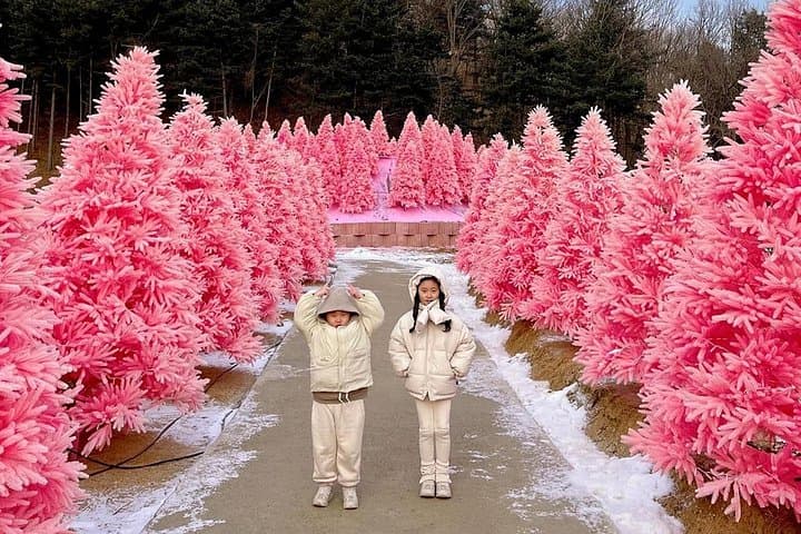 Winter One-Day Tour in Pocheon: Strawberries, Ice Walls & Herb Island photo 2