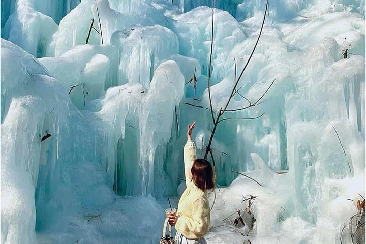 Winter One-Day Tour in Pocheon: Strawberries, Ice Walls & Herb Island photo 3