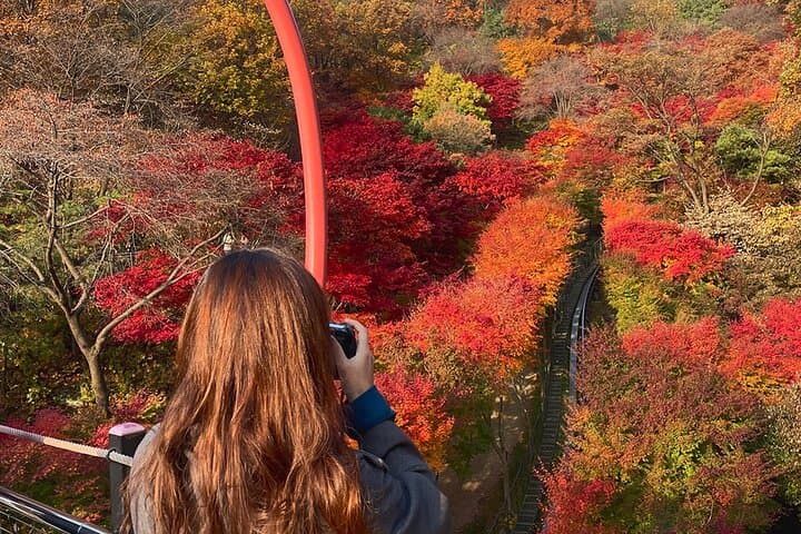 Hwadam Botanic Garden, Namhansanseong & Korean Folk Village Day Trip from Seoul photo 3