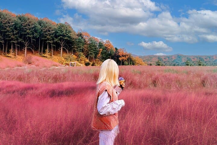 Herb Island, Sanjung Lake & Bidulginang Waterfalls Day Tour from Seoul