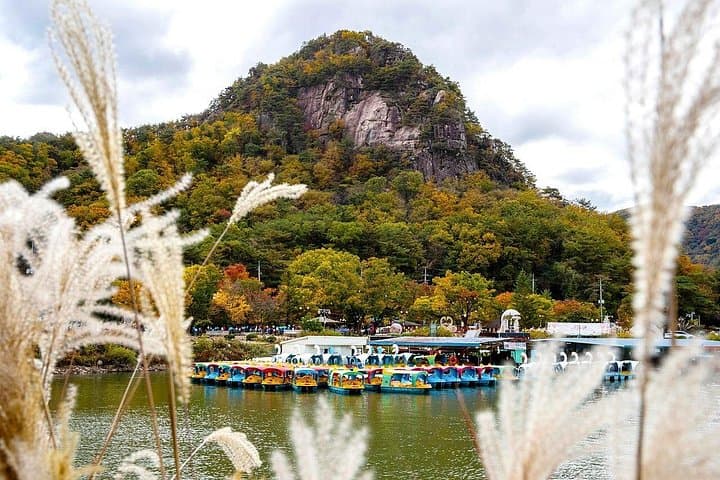 Pocheon Day Tour: Sanjung Lake, Apple Picking & Herb Island in a Single Day photo 2