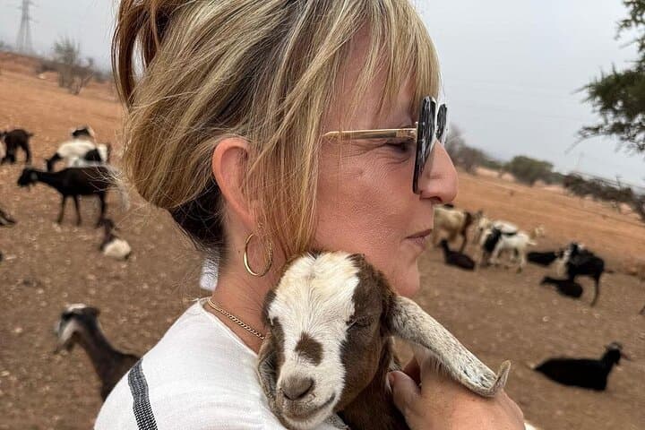 Tree-Climbing Goats Tour from Agadir & Taghazout — Argan Grove Photo Safari photo 6