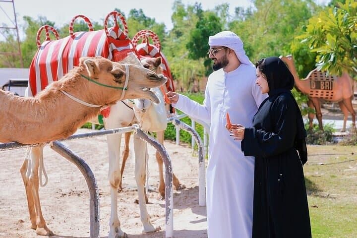 VIP Camel Racing in Dubai: Prime Seats, Short Ride & Cultural Experience photo 3