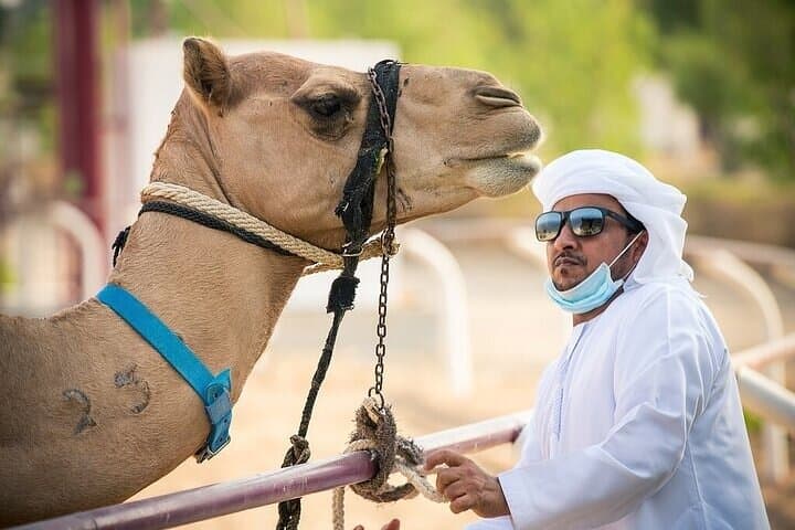 VIP Camel Racing in Dubai: Prime Seats, Short Ride & Cultural Experience photo 5