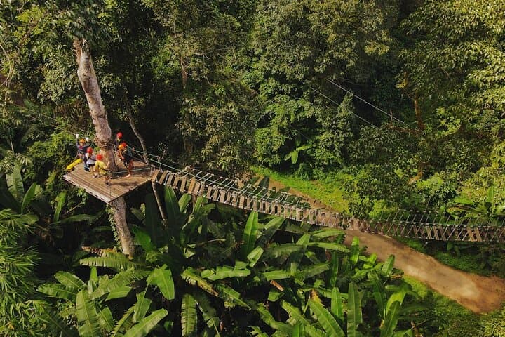 Chiang Mai Sky Hawk Zipline: 18–33 Canopy Lines, Sky Bridges & Abseils photo 2