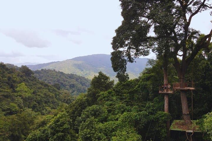 Chiang Mai Sky Hawk Zipline: 18–33 Canopy Lines, Sky Bridges & Abseils photo 3