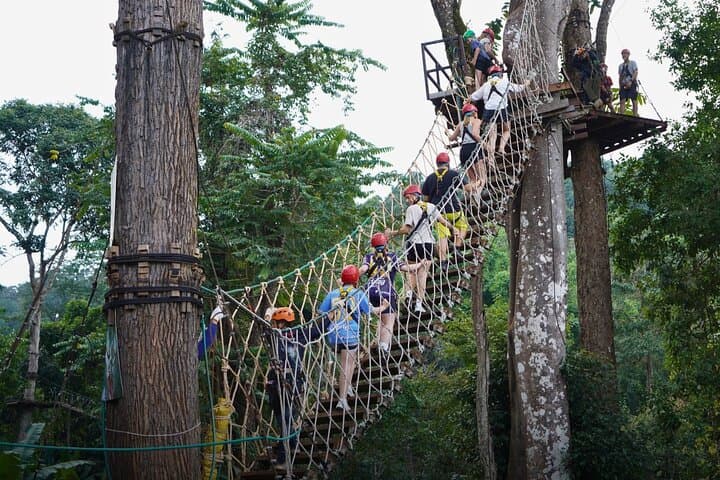 Chiang Mai Sky Hawk Zipline: 18–33 Canopy Lines, Sky Bridges & Abseils photo 6