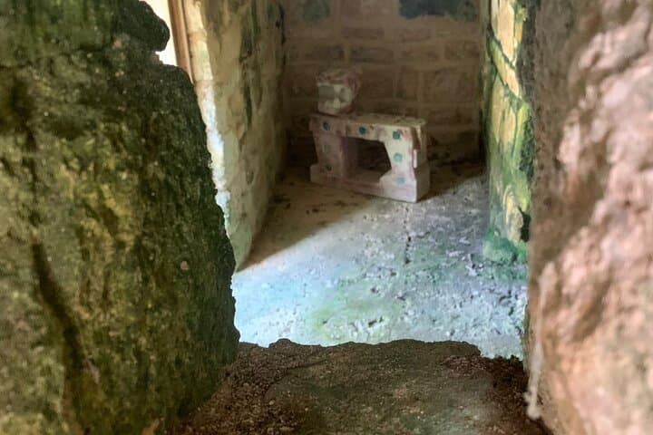 Private Mayan Ruins & Cenote Tour with Mexican Picnic in Cozumel photo 3