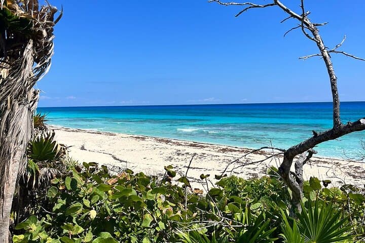 Private Mayan Ruins & Cenote Tour with Mexican Picnic in Cozumel photo 5