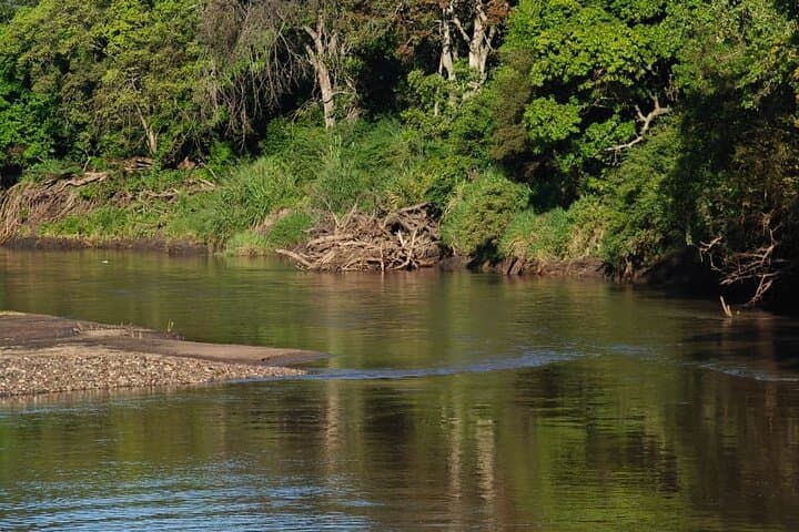 Tarangire and Ngorongoro 2-Day Luxury Safari: Big Five Encounters in Tanzania photo 3