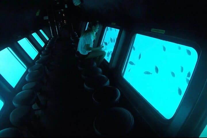 Semi-Submarine SeaScope: Red Sea Coral Tour from Sharm el-Sheikh photo 2