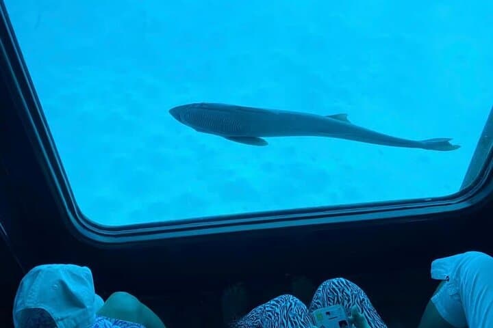 Semi-Submarine SeaScope: Red Sea Coral Tour from Sharm el-Sheikh photo 3