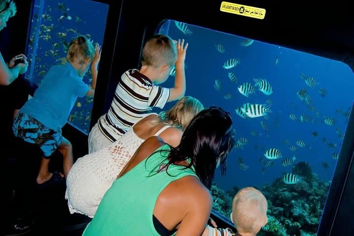 Semi-Submarine SeaScope: Red Sea Coral Tour from Sharm el-Sheikh photo 4